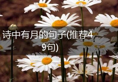 诗中有月的句子(推荐49句)