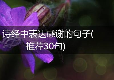 诗经中表达感谢的句子(推荐30句)