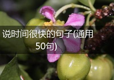 说时间很快的句子(通用50句)
