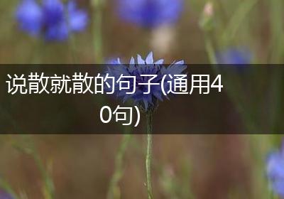 说散就散的句子(通用40句)