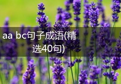 aa bc句子成语(精选40句)