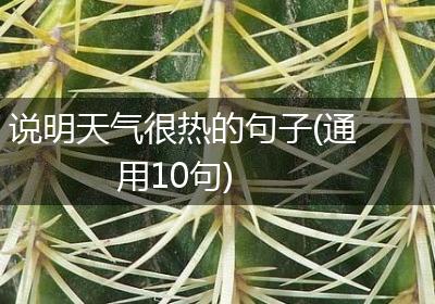 说明天气很热的句子(通用10句)