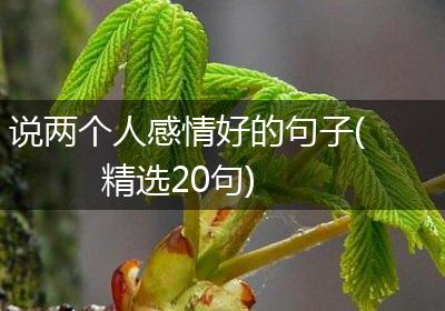 说两个人感情好的句子(精选20句)