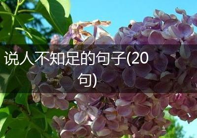 说人不知足的句子(20句)