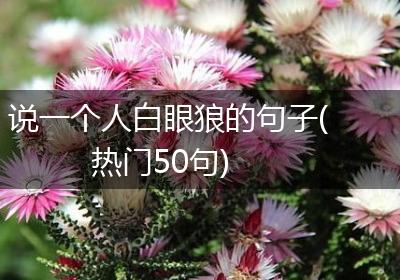 说一个人白眼狼的句子(热门50句)