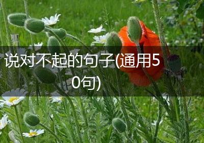 说对不起的句子(通用50句)