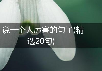 说一个人厉害的句子(精选20句)