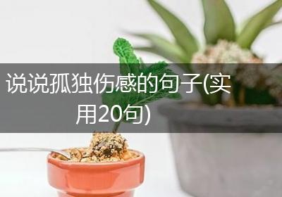 说说孤独伤感的句子(实用20句)