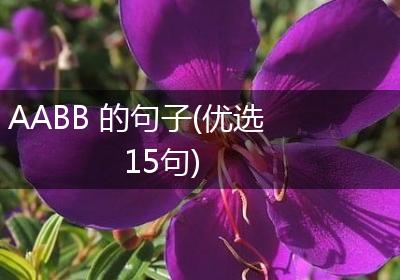 AABB 的句子(优选15句)