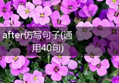 after仿写句子(通用40句)