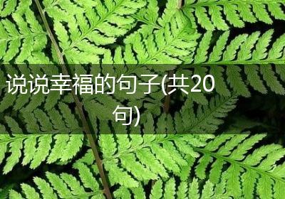 说说幸福的句子(共20句)