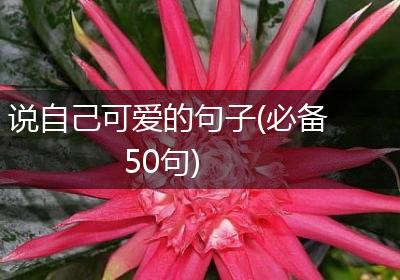 说自己可爱的句子(必备50句)