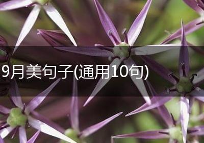 9月美句子(通用10句)