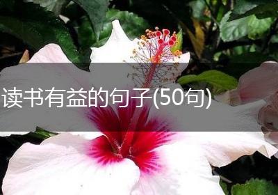 读书有益的句子(50句)