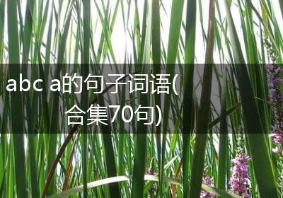 abc a的句子词语(合集70句)
