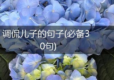 调侃儿子的句子(必备30句)