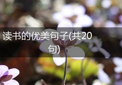读书的优美句子(共20句)