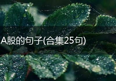 A股的句子(合集25句)