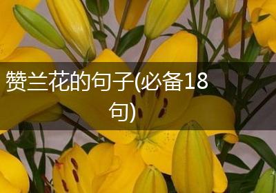 赞兰花的句子(必备18句)