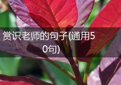 赏识老师的句子(通用50句)