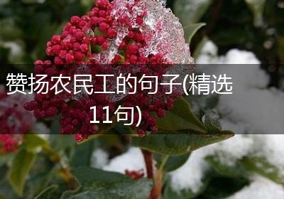 赞扬农民工的句子(精选11句)