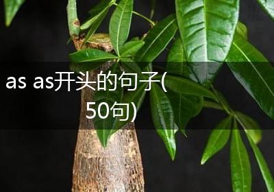 as as开头的句子(50句)