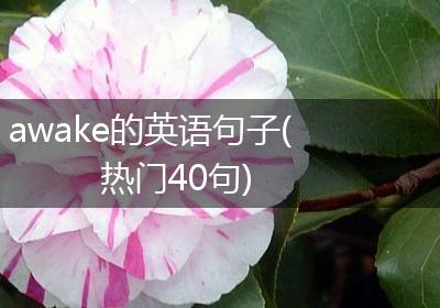awake的英语句子(热门40句)