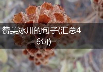 赞美冰川的句子(汇总46句)