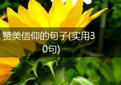 赞美信仰的句子(实用30句)