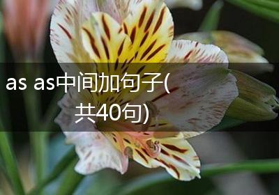 as as中间加句子(共40句)