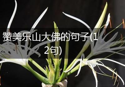 赞美乐山大佛的句子(12句)