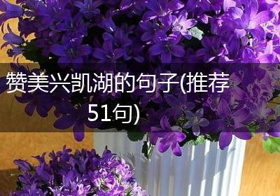 赞美兴凯湖的句子(推荐51句)