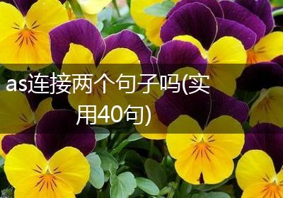as连接两个句子吗(实用40句)