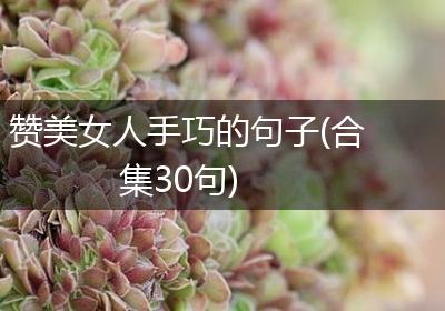 赞美女人手巧的句子(合集30句)