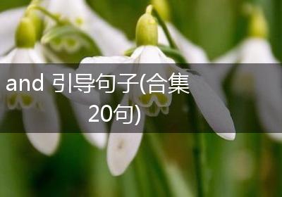 and 引导句子(合集20句)