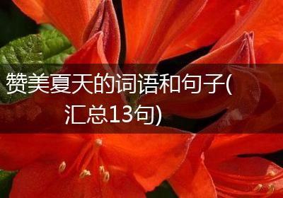 赞美夏天的词语和句子(汇总13句)