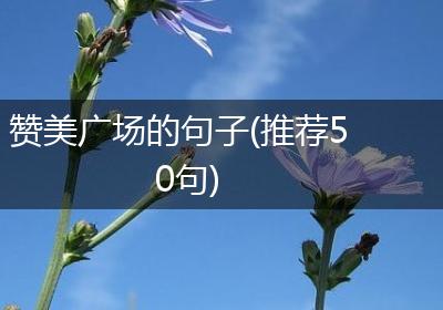 赞美广场的句子(推荐50句)