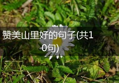 赞美山里好的句子(共10句)