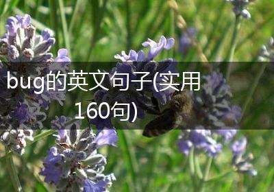 bug的英文句子(实用160句)
