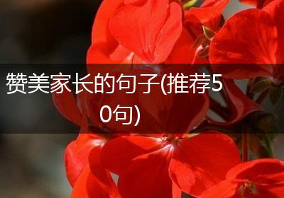 赞美家长的句子(推荐50句)