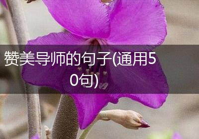 赞美导师的句子(通用50句)