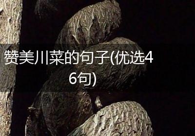 赞美川菜的句子(优选46句)