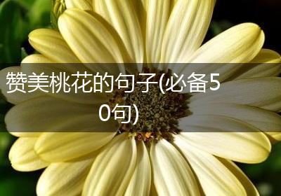 赞美桃花的句子(必备50句)