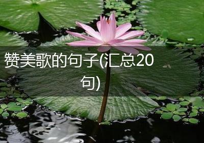 赞美歌的句子(汇总20句)