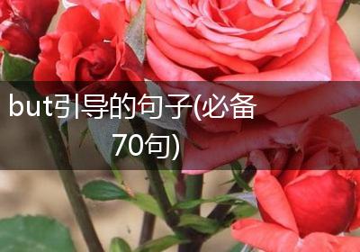but引导的句子(必备70句)