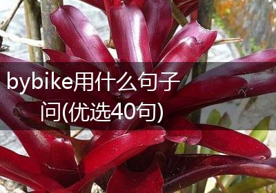 bybike用什么句子问(优选40句)