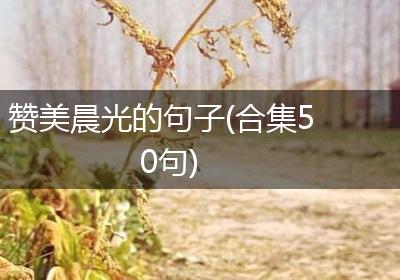 赞美晨光的句子(合集50句)