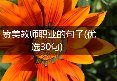 赞美教师职业的句子(优选30句)
