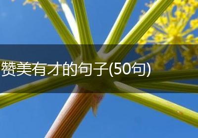 赞美有才的句子(50句)