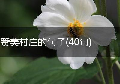 赞美村庄的句子(40句)